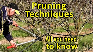 Pruning Fruit Trees  Pruning Techniques  Essential Pruning Course [upl. by Eireva]