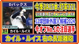 【巨人新外国人候補②】カイル・ルイス外野手！今季3A無双の20年新人王【ノンテンダーFA】 [upl. by Annas]