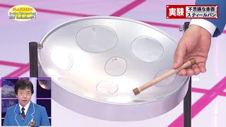 不思議な楽器 スティールパン／A Strange Instrument The Steelpan [upl. by Eenitsed]