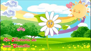 🌸🌱La Historia de una Semilla🌱🌸 Para niños [upl. by Llereg]