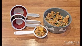 How Much Homemade Dog Food To Feed My Dog [upl. by Dlorah]