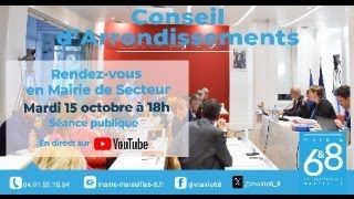 Conseil dArrondissements des 6amp8 [upl. by Tullius]