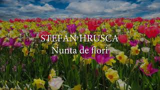 Stefan Hrusca  Nunta de flori versuri lyrics karaoke [upl. by Eirollam]