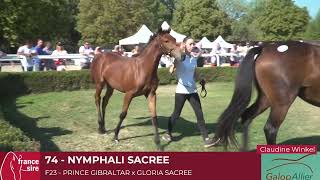 Lot 74  NYMPHALI SACREE [upl. by Ayital]