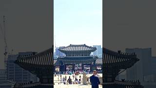 Seoul Walking Gyeongbokgung Palace view seoulmysoul 서울마이소울 [upl. by Mariana]