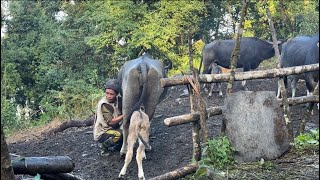 Nepali village BofeLo [upl. by Nylg]