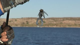 Fishing with Johnny Johnson  A Small Clue  Alamo Lake AZ [upl. by Llatsyrc]