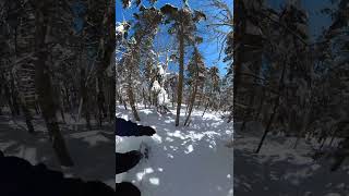 Cutting up some Glades Stowe VT snowboarding outdoors skiing snow travel winter mountains [upl. by Nylauqcaj131]