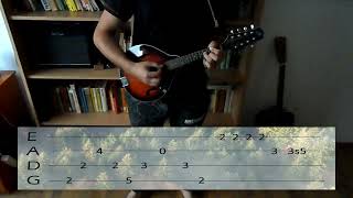 Nirvana  Heart Shaped Box on mandolin with tabs [upl. by Disraeli]