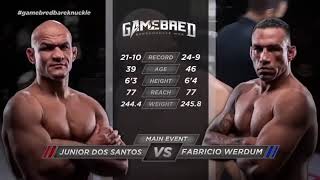 LUTA COMPLETA FABRÍCIO WERDUM VS JUNIOR CIGANO [upl. by Nnylirehs]