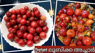 രുചികരമായ ലൂബിക്ക അച്ചാർ Loobikka  Lololikka  Achar  Pickle Recipe [upl. by Sidras]