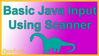 Basic Java Input using Scanner methods next and nextInt  Java Tutorial  Appficial [upl. by Bertine]