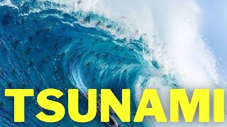 Entenda Como Se Forma a Tsunami A Maior Onda do Mundo [upl. by Airan]