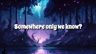 RhianneSomewhere only we know lyrics [upl. by Kam196]