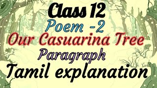 Class 12 Poem 2 Our Casuarina Tree Poem paragraph Part1Tamil Explanation Gramathukkum Grammar [upl. by Alyag]