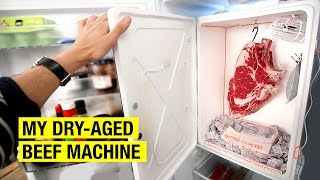 3 The DryAged Beef Machine  How I Dry Age Beef At Home [upl. by Aivartal]