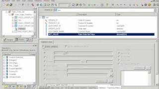 Business Objects Data Integrator demo [upl. by Ailedo275]