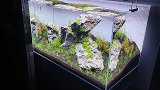 3 ROCK AQUASCAPE STEP BY STEP TUTORIAL [upl. by Namrehs555]