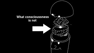 What consciousness isnt [upl. by Ahsem555]