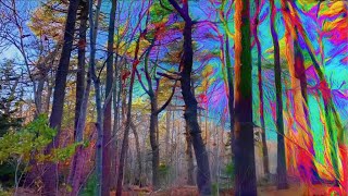 PSYCHEDELIC Nature PsilocybinMagic Mushroom Simulation [upl. by Aible]