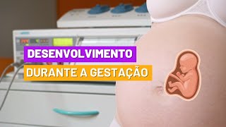 Desenvolvimento Fetal durante a Gestação  Enfermagem Obstétrica e Neonatal [upl. by Lubet]