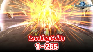 Toram Online  Leveling Guide 1265  Recommended Route to Level Up your Character [upl. by Hootman]