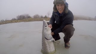 Ice Fishing for HUGE Sturgeon  Catch n Cook Sturgeon Over an Open Fire [upl. by Johnathon]