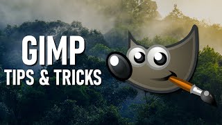 GIMP Image Editor Tips amp Tricks [upl. by Ramsdell]