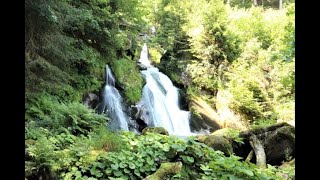 Die höchsten Wasserfälle Deutschlands  Wasserfälle  Wasserfall in Deutschland [upl. by Hampton]