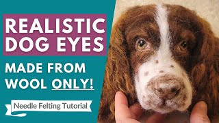 How to make Realistic Needle Felted Dog Eyes ONLY from wool  Needle Felted Eyes Tutorial part 1 [upl. by Epoillac910]