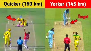 Top 10 Yorker Beast Bowlers in Cricket History  Yorker Master Duo  By The Way [upl. by Elton718]