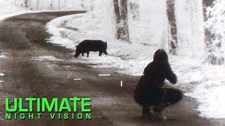 60 Hogs and 7 Coyotes Down  Thermal Hunting with the Flir PTS 536 [upl. by Gherardi136]