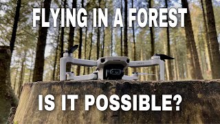 DJI MINI 2  OCUSYNC TEST FLYING IN A FOREST [upl. by Imrots]