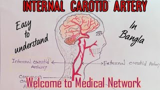 Internal Carotid ArterySegments amp Branches Within 5 minutes In Bangla 😊 [upl. by Wilhelmina515]