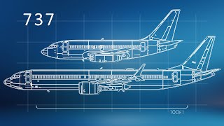 The Evolution of the Boeing 737 [upl. by Shanks]