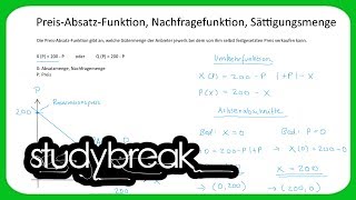 PreisAbsatzFunktion Nachfragefunktion Sättigungsmenge  Volkswirtschaftslehre [upl. by Nhaj]