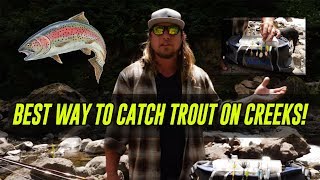 ALL TIME Best Way To Catch TROUT In Creeks Rivers amp Streams  In Depth HOW TO [upl. by Sigrid]