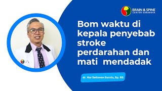 Aneurisma Otak Penyebab Stroke Perdarahan  Dr dr Nur Setiawan Suroto SpBS K [upl. by Donia]