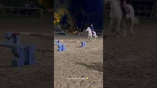 🥲🥲 horse concours poney cheval equestrian chevaux humour [upl. by Iinden216]