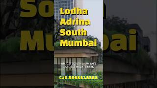 Lodha Adrina  Lodha Park  South Mumbai  Call 8268515555  Lower Parel  Worli  shorts [upl. by Ogren]