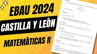 📘 Examen Selectividad EBAU ▶ Castilla y León Junio 2024 ▶ Matemáticas II [upl. by Manchester240]