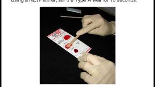 RapidVet H Feline Blood Typing Test [upl. by Airenahs]