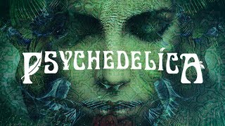 Psychedelics and Consciousness [upl. by Esinert]