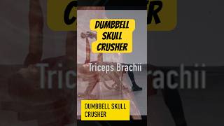 Dumbbell Skull Crusher [upl. by Ellecrag38]