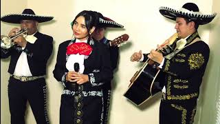 Paloma Cucurrucucu  Mexican Mariachi  Los Mariachi Bros [upl. by Ashwin]