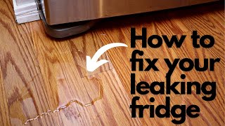 How to Fix a Leaking RefrigeratorFreezer  Samsung [upl. by Nonnelg]