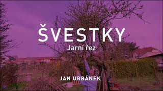 ŠVESTKY – jarní řez [upl. by Airdnazxela]