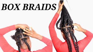 Jumbo Box Braids Tutorial Rubber Bands Method Explained [upl. by Novello]