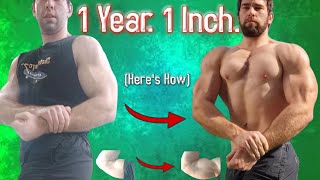 How I Put An INCH On My Arms In 1 Year [upl. by Rogers]