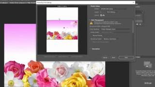 Tips To Print Actual Colors In Adobe Photoshop Printing [upl. by Changaris]